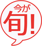 今が旬